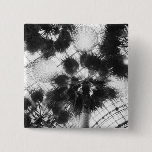 NA, USA, New York, New York City. Palm trees in 15 Cm Square Badge