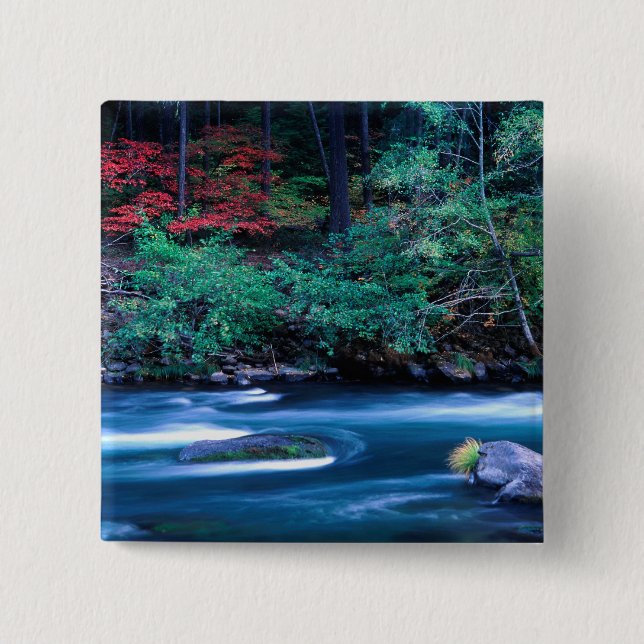 NA, USA, Oregon, Fall Foliage on North Umpquah 15 Cm Square Badge (Front)
