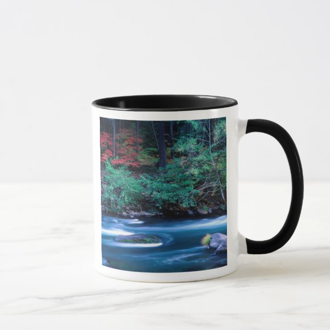 NA, USA, Oregon, Fall Foliage on North Umpquah Mug (Right)