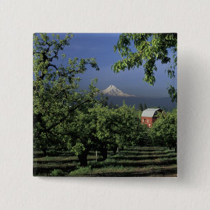 NA, USA, Oregon, near Hood River Mt. Hood with 15 Cm Square Badge