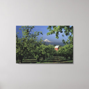 NA, USA, Oregon, near Hood River Mt. Hood with Canvas Print