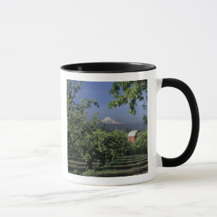 NA, USA, Oregon, near Hood River Mt. Hood with Mug