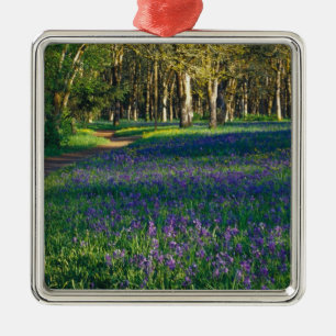 NA, USA, Oregon, Salem. Field of camas and 3 Metal Tree Decoration