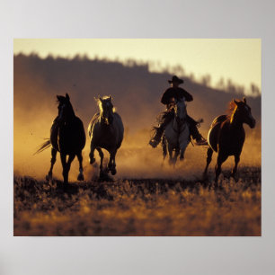 NA, USA, Oregon, Seneca, Ponderosa Ranch, Cowboy 2 Poster