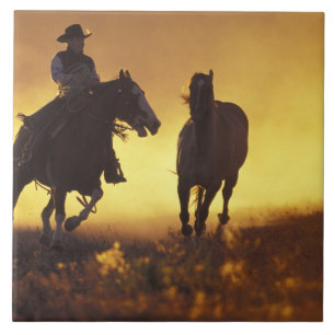 NA, USA, Oregon, Seneca, Ponderosa Ranch, Cowboy 3 Tile