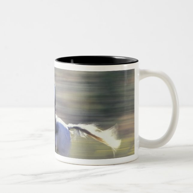 NA, USA, Oregon, Seneca, Ponderosa Ranch, Cowboy Two-Tone Coffee Mug (Right)
