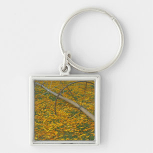 NA, USA, Oregon. Watering system in field of Key Ring