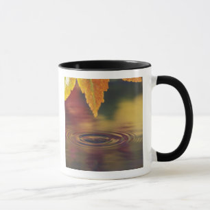 NA, USA, Pacific Northwest Mug