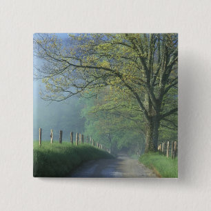 NA, USA, Tennessee, Cades Cove, Great Smoky 15 Cm Square Badge