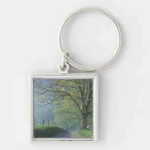NA, USA, Tennessee, Cades Cove, Great Smoky Key Ring
