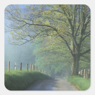 NA, USA, Tennessee, Cades Cove, Great Smoky Square Sticker