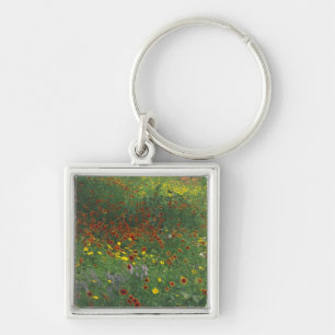 NA, USA, Texas, east of Devine, Coreopis and Key Ring