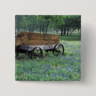 NA, USA, Texas, east of Devine, Old wagon in 15 Cm Square Badge