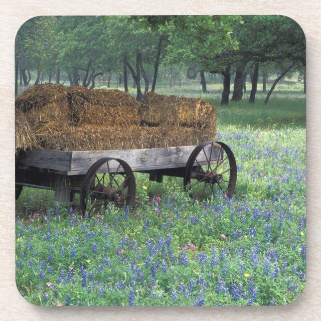 NA, USA, Texas, east of Devine, Old wagon in Coaster (Front)
