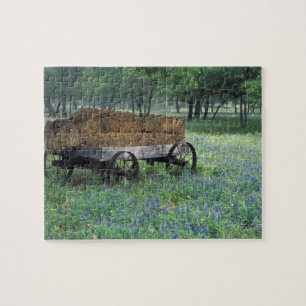 NA, USA, Texas, east of Devine, Old wagon in Jigsaw Puzzle