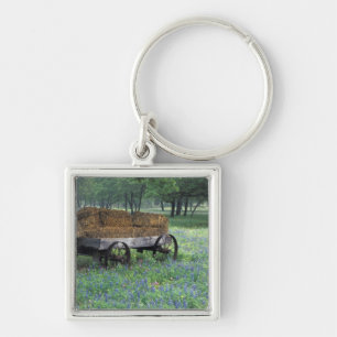 NA, USA, Texas, east of Devine, Old wagon in Key Ring