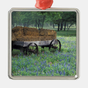 NA, USA, Texas, east of Devine, Old wagon in Metal Tree Decoration