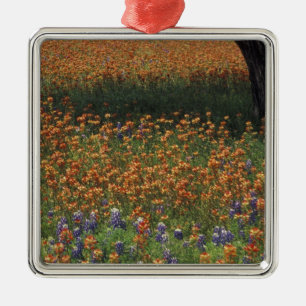 NA, USA, Texas, Hill Country, Paint brush and Metal Tree Decoration
