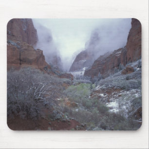 NA, USA, Utah, Zion NP, Spring snow storm, Mouse Pad