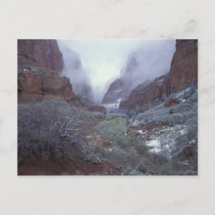 NA, USA, Utah, Zion NP, Spring snow storm, Postcard
