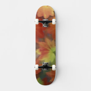 NA, USA, Washington, Issaquah, Vine maple Skateboard