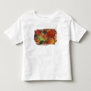 NA, USA, Washington, Issaquah, Vine maple Toddler T-Shirt