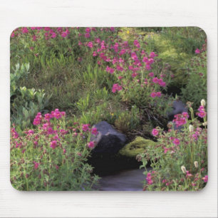 NA, USA, Washington, Mt. Rainier NP, Pink Mouse Pad