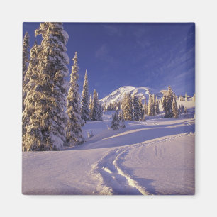 NA, USA, Washington, Mt. Rainier NP, Snowshoe Magnet
