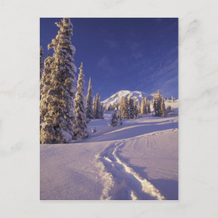 NA, USA, Washington, Mt. Rainier NP, Snowshoe Postcard