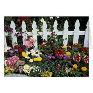 NA, USA, Washington, Sammamish, White picket