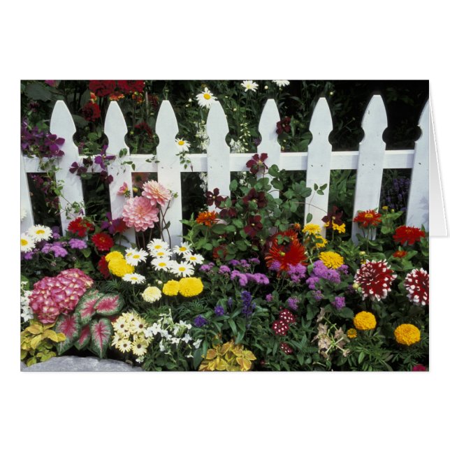 NA, USA, Washington, Sammamish, White picket (Front Horizontal)