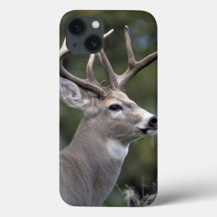 NA, USA, Washington State, White-tailed deer, iPhone 13 Case