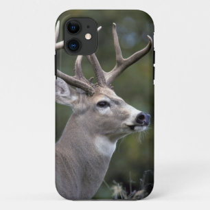 NA, USA, Washington State, White-tailed deer, Case-Mate iPhone Case