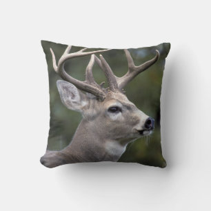 NA, USA, Washington State, White-tailed deer, Cushion