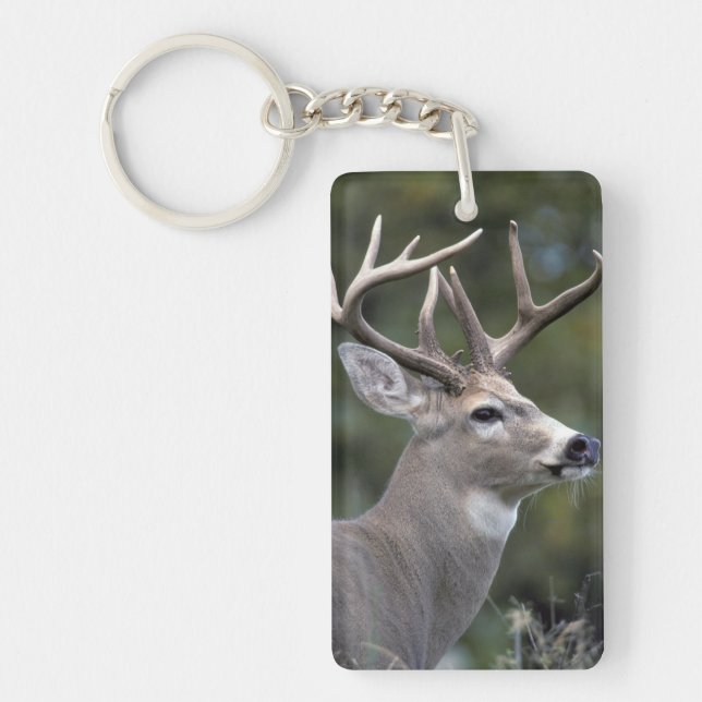 NA, USA, Washington State, White-tailed deer, Key Ring (Front)