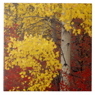 NA, USA, Washington, Wenatchee National Forest. Tile