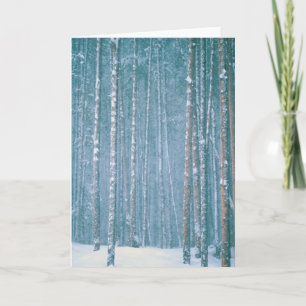 NA, USA, WY. Snowy winter scene among Holiday Card