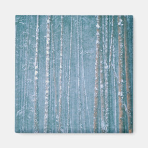 NA, USA, WY. Snowy winter scene among Magnet