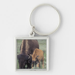 NA, USA, Wyoming, Yellowstone National Park. Key Ring