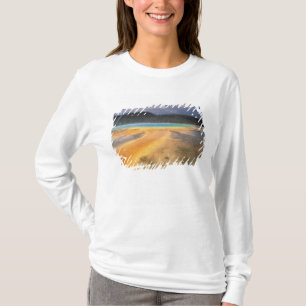 NA, USA, Wyoming, Yellowstone NP, Grand T-Shirt