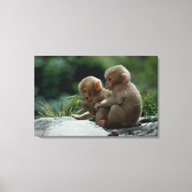 Nagano Prefecture, Japan Canvas Print (Front)