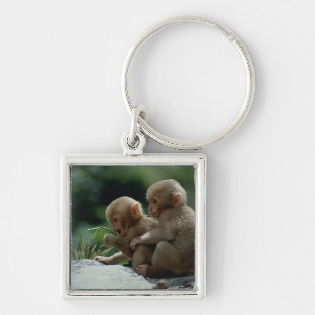 Nagano Prefecture, Japan Key Ring (Front)