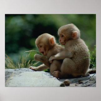 Nagano Prefecture, Japan Poster