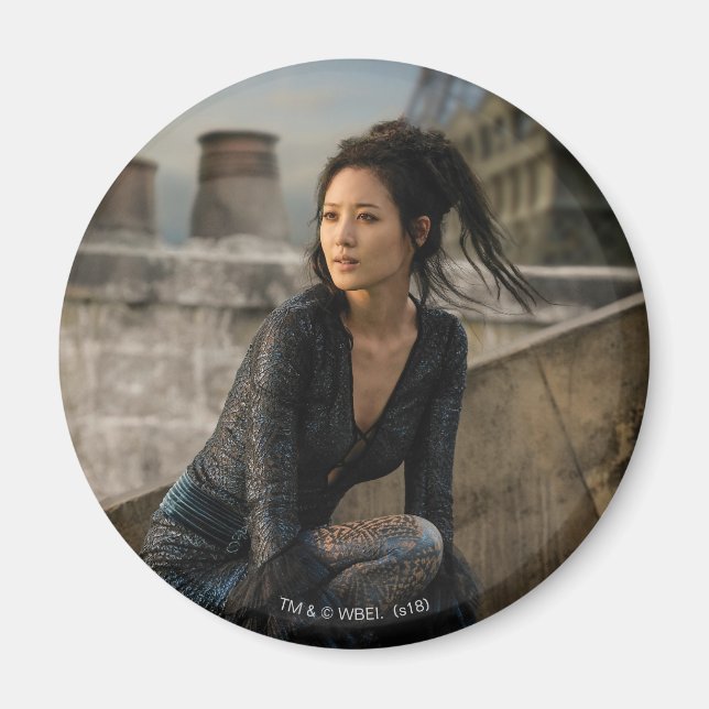 Nagini on Rooftop Photo Magnet (Front)