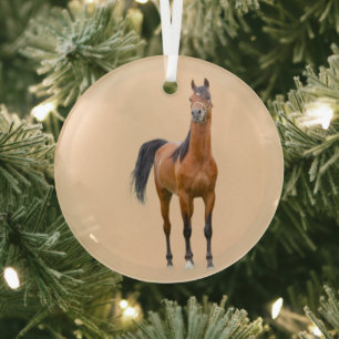 Nahgwa Glass Tree Decoration
