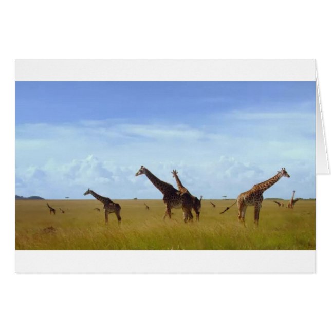 Nairobi National Park Giraffes (Front Horizontal)