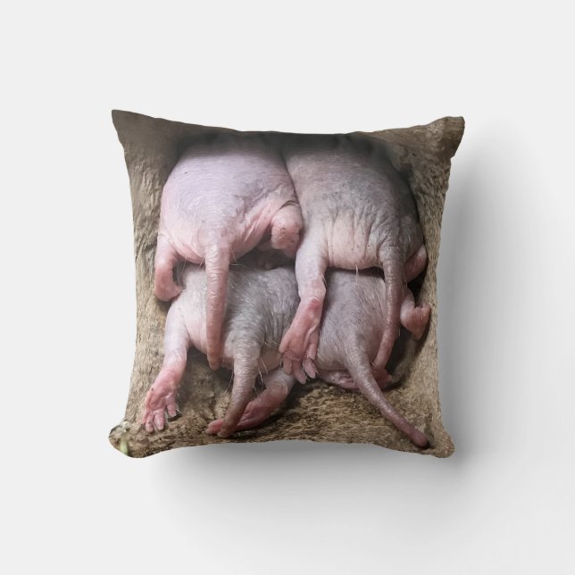 Naked Mole Rat pillow (Front)