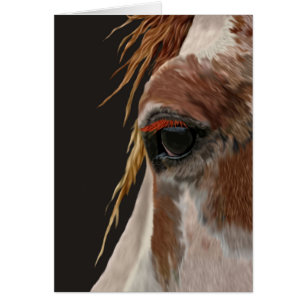 Nakota Horse