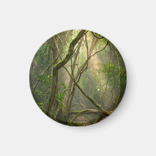 Namal Uyana Mystical Forest Golf Balls - Ironwood Magnet