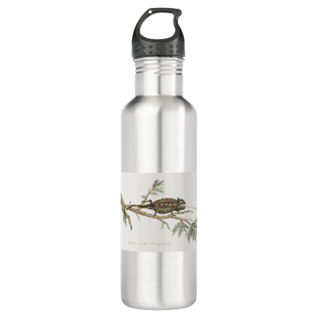 Namaqua chameleon Lizard Reptile Gecko 710 Ml Water Bottle (Front)